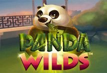 Panda Wilds slot